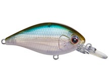 Evergreen CR 06 Crankbaits 