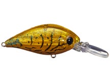 Evergreen CR 08 Crankbaits 