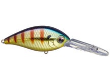 Evergreen CR Crank Oki Gold 13