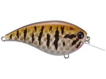 Evergreen Flat Force 4 Crankbaits