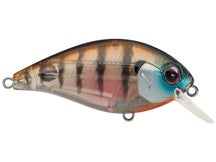 Evergreen SH-3 Crankbaits