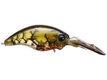 Evergreen Wild Hunch 5 Bleeding Green Craw