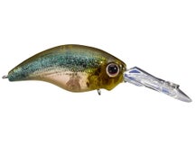 Evergreen Wild Hunch 5 Ghost Threadfin Shad