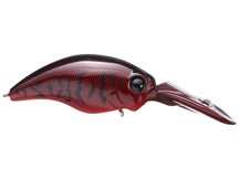 Evergreen Wild Hunch 5 Cajun Craw