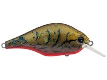 Evergreen Zeruch Crankbait