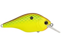 Evergreen Zeruch Crankbait