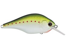 Evergreen Zeruch Crankbait