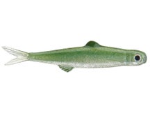 Evergreen Last Ace 45 Reservoir Fry