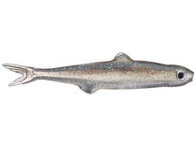 Evergreen Last Ace 45 Natural Shad