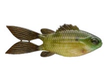 6th Sense FlipGill 3.8 Creature Bait 6pk