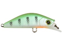 YZ 3DR-X Flat Heavy Minnow 40 Matte Ghost Perch