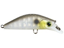 YZ 3DR-X Flat Heavy Minnow 40 Matte Gizzard Shad