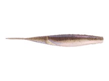 6th Sense Freshwater HyperStretch Shindo Shad