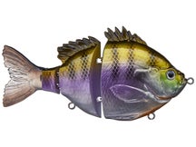 Fishlab Bio Gill Swimbait