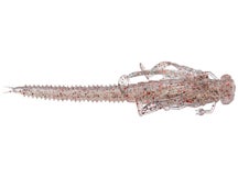 Fishlab Nature Nymph Clear Sparkle 4.25"