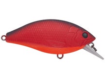 Freedom Tackle Rad Squarebill Crankbaits