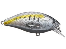 Freedom Tackle Rad Squarebill Crankbaits