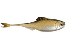 6th Sense Masterclass Fiction Shad