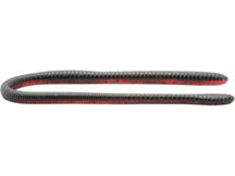 Gambler ER16 16" Worm 2pk