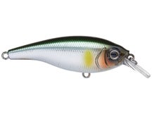 Gan Craft Ayrton 63SR Crankbait