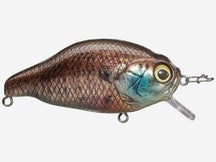 Gan Craft Z Bite Crankbait