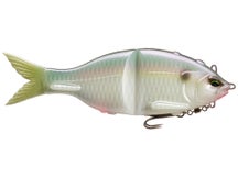 Grow Design Works G Flag 150 Complex Shiner