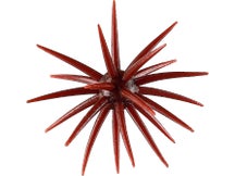 Gambler High Roller TPE Urchin Creature Bait 2pk