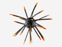 Geecrack Magnum Cue Bomb 1.5" 1pk