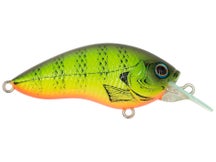 Grass Roots RUNBBIT Crankbait Bright Gill P