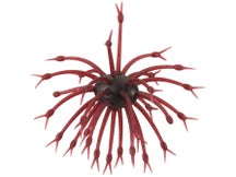 G-Ratt Baits Pop-A-Web 2pk