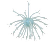 G-Ratt Baits Pop-A-Web 2pk