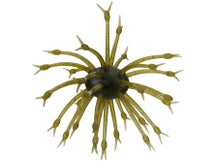 G-Ratt Baits Pop-A-Web 2pk