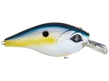 Googan Squad Banger Squarebill Sexy Shad 3/4oz