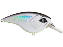 Googan Squad Flat Banger Squarebill Crankbait