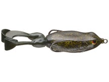 Gambler Swimming Frog