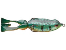 Gambler Swimming Frog