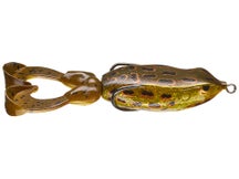 Gambler Swimming Frog