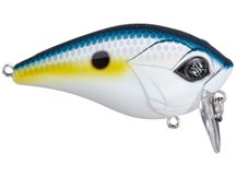 Googan Squad Wake Banger Sexy Shad 2.37"