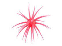 Hideup Coike Fullcast Creature Bait