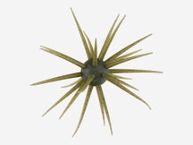 Hideup Coike Fullcast Creature Bait