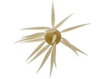 Hideup Coike Fish Elastomer Creature Bait