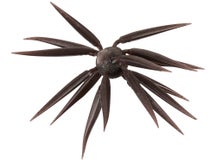 Hideup Coike Fish Elastomer Creature Bait