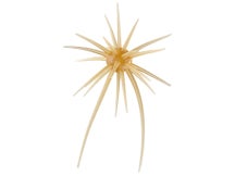 Hideup Coike Mini 8mm Creature Bait 3pk