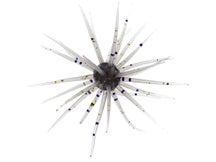 Hideup Coike 13mm Creature Bait