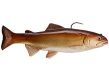 Huddleston 8" ROF 12 Trout Gold w/ Brown Back 