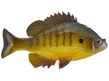 Huddleston Deluxe Bluegill Top Hook Swimbaits