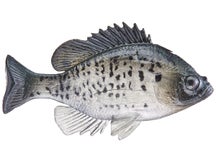 Huddleston Deluxe Bluegill Top Hook Swimbaits