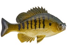 Huddleston Bluegill Top Hook Rock Bass ROF 12
