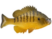 Huddleston Bluegill Top Hook Sungill ROF 12