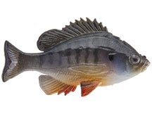 Huddleston Bluegill Top Hook Tilapia ROF 12